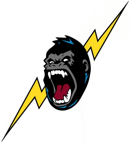 All Phase Electric